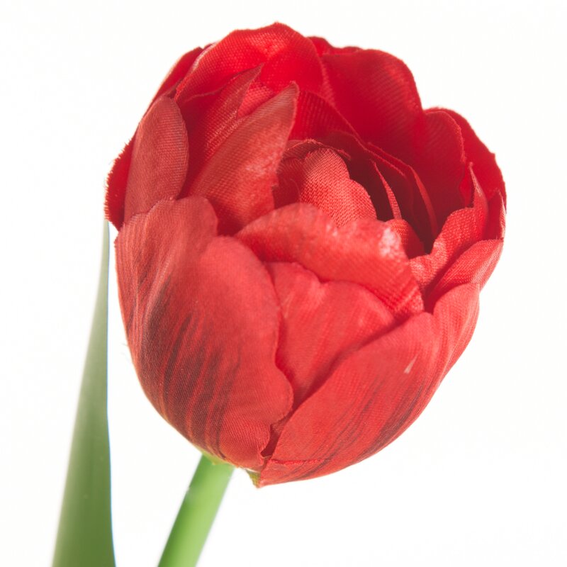 Tulipan NATU czerwony 37 cm – rozświetli wnętrze