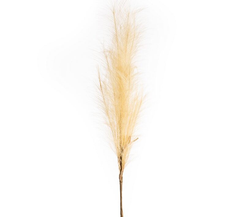 Kwiat Flore beżowy 100 cm – doda wnętrzu lekkości