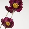 KWIAT NATU 331 FI 5 X 60 CM BORDOWY