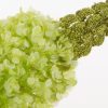 Kwiat Natura zielony 108 cm – ożywi Twoje wnętrze