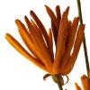 Kwiat Flore 779 pomarańczowy 90 cm – ożywi Twoje wnętrze
