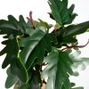 Kwiat Natura zielony 20 cm – do dekoracji wnętrz