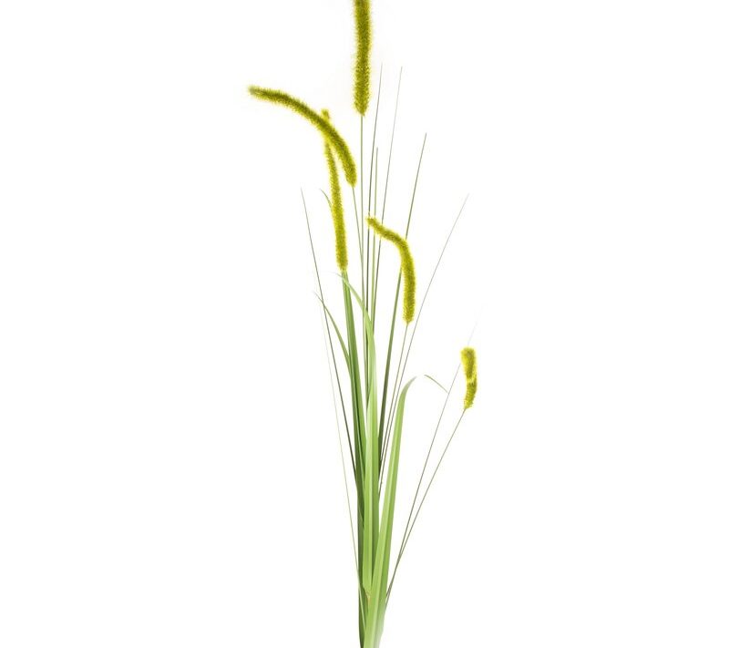 Kwiaty Natu zielone 53 cm – doda świeżości