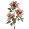 Kwiat dekoracyjny Flore 752 kremowy O 14 X 68 CM – dla naturalnego akcentu