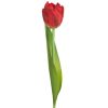 Kwiat NATU tulipan żółty 56 cm – ożywi wnętrze