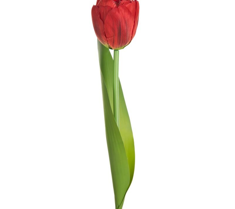 Tulipan NATU czerwony 37 cm – rozświetli wnętrze