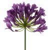 Kwiat Natura fioletowy 76 cm – doda uroku wnętrzu