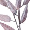 Kwiaty Natu brązowe 10 x 90 cm – idealne do wazonu