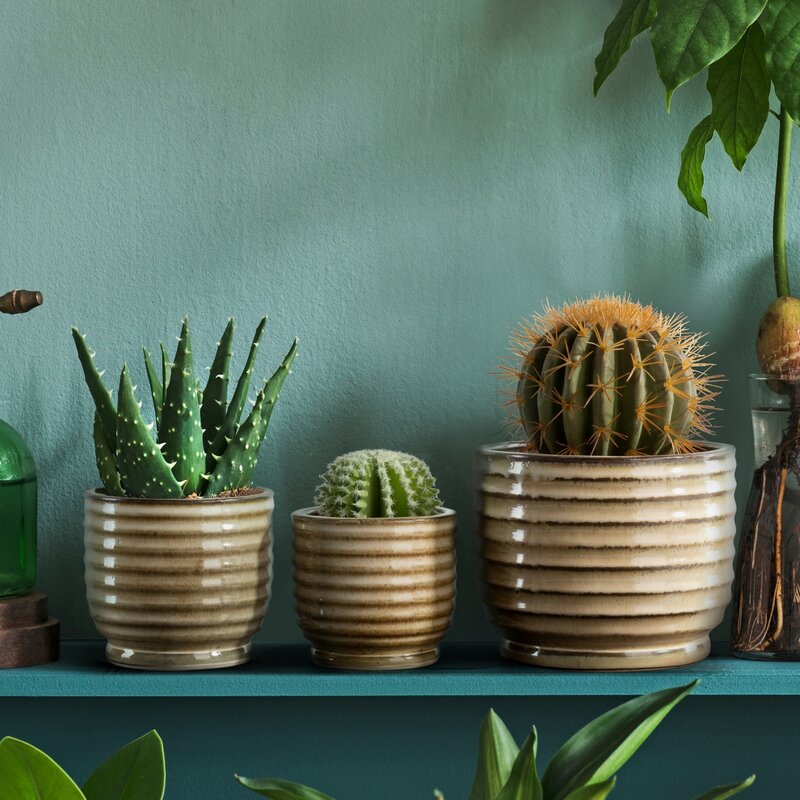Doniczka ceramiczna jasnobrązowa fi 19 x 15 cm – wprowadza ciepło