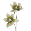 Kwiat dekoracyjny Flore 748 zielony O 17 X 70 CM – wnosi powiew świeżości