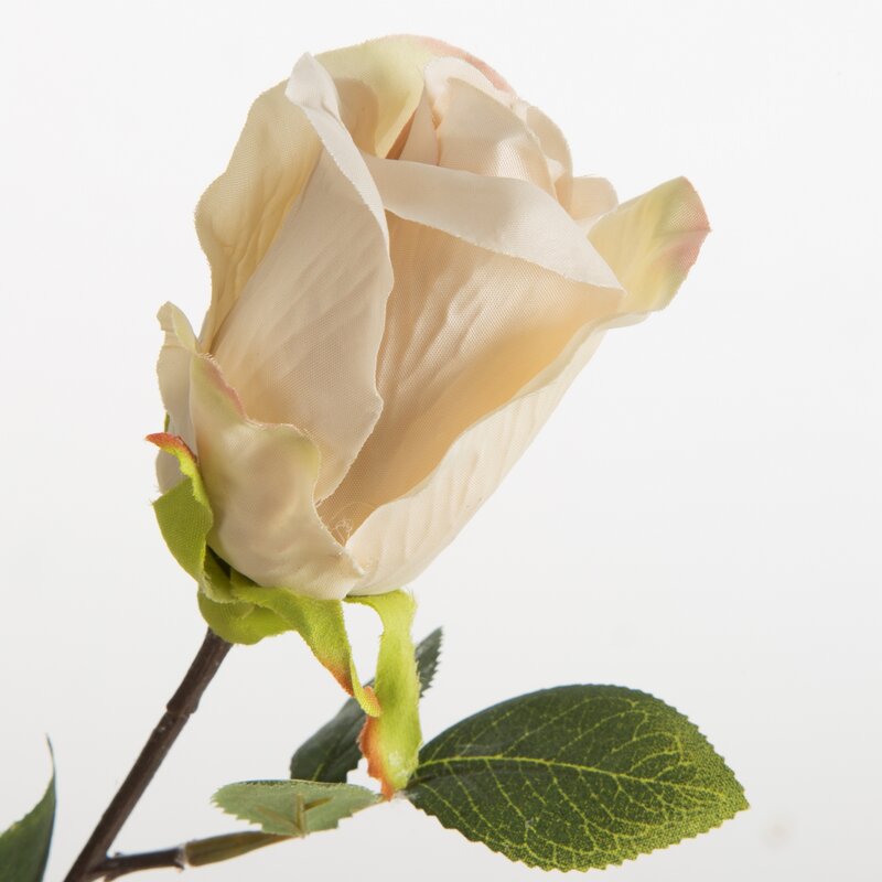 Kwiat naturalny 53 cm – subtelna ozdoba