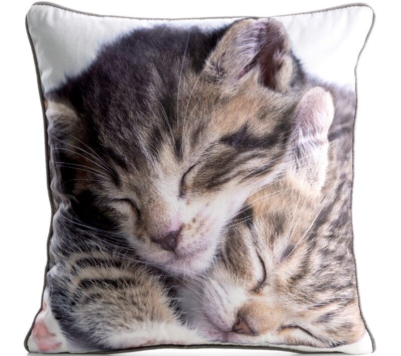 Poszewka velvet kocięta biała 45 x 45 cm – wprowadza przytulność