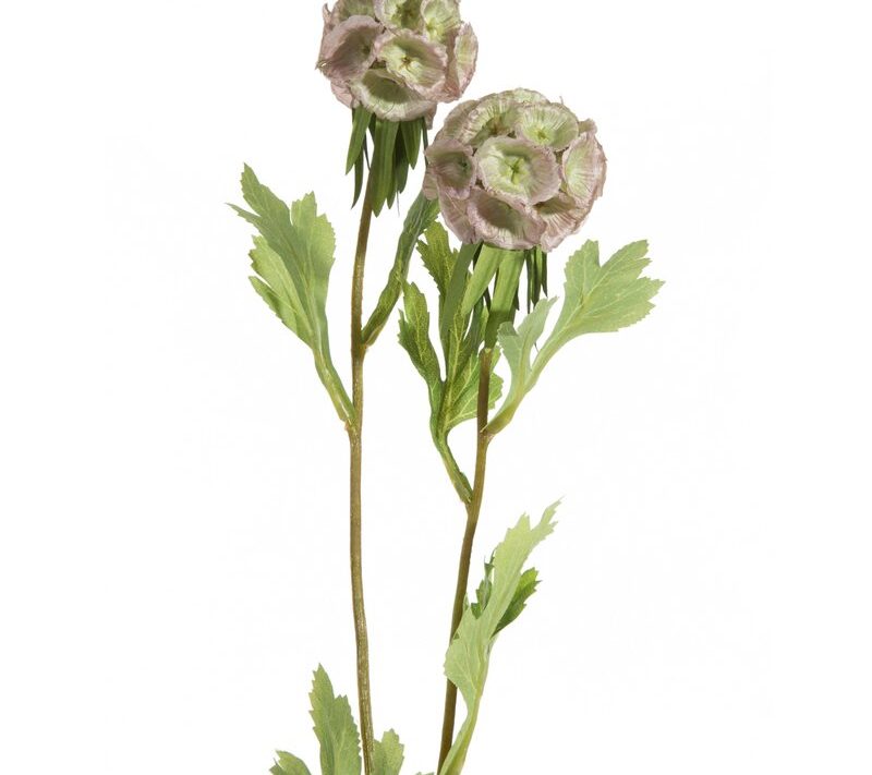 Kwiat dekoracyjny Natura zielony fi 6 x 50 cm – doda świeżości