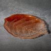 Szklana patera dekoracyjna Sava pomarańczowa 26 x 19 x 2 cm – jesienny akcent