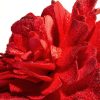 Kwiat dekoracyjny Flore 875 czerwony O 25 X 70 CM – na stół i do wazonu