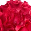 Kwiat dekoracyjny Flore bordowy O 20 X 65 cm – efektowna ozdoba