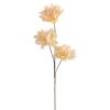 Kwiat Flore 853 jasnoróżowy O 6 X 75 CM – idealny do wazonu