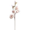 Kwiat dekoracyjny Flore 842 kremowy 12 X 82 cm – dla lekkości wnętrza
