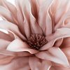 Kwiat Flore 833 biały O 25 X 60 cm – trwała dekoracja wnętrz