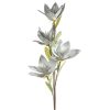 Kwiat dekoracyjny Flore popielaty O 10 X 50 cm – trwała dekoracja