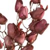Kwiat sztuczny Flore 867 ciemnofioletowy O 2 X 75 CM – trwała ozdoba