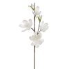 Kwiat dekoracyjny Flore 843 jasnobrązowy O 11 X 69 cm – tworzy naturalny klimat