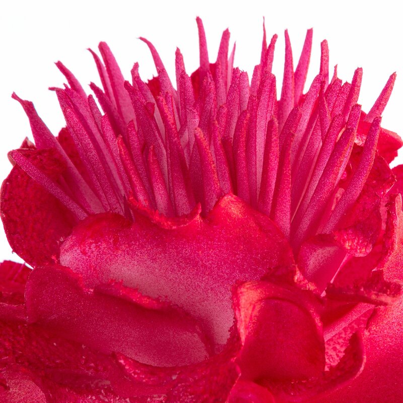 Kwiat dekoracyjny Flore 835 ciemnoróżowy O 15 X 64 CM – ożywi wnętrze