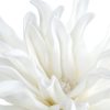 Kwiat dekoracyjny Flore 833 biały O 25 X 60 CM – do wazonu i kompozycji