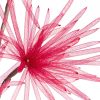 Kwiat organza 5 bordowy O 20 X 80 cm – trwała dekoracja wnętrz