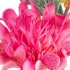 Kwiat dekoracyjny Flore 839 różowy O 11 X 65 cm – rozjaśnia wnętrze