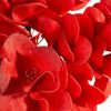 Kwiat dekoracyjny Flore 872 czerwony O 25 X 50 CM – intensywny akcent koloru