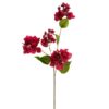 KWIAT NATU 495 62 CM BORDOWY