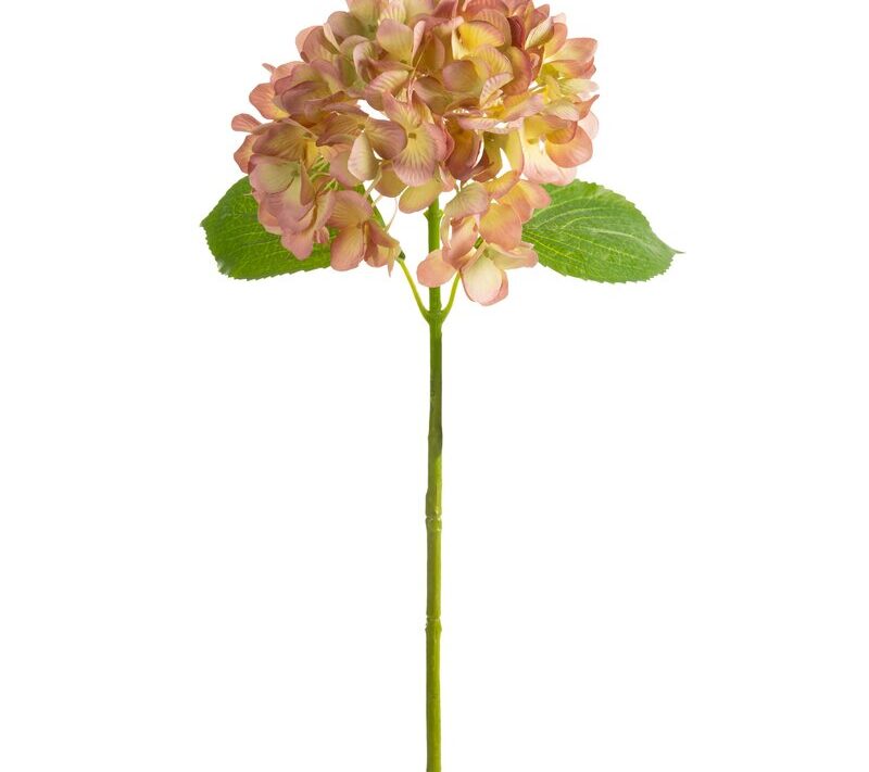 KWIAT NATU 270 O 20 X 67 CM ŻÓŁTY