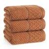Ręcznik Zero Twist Favory ceglasty 50 X 90 cm – miękki i chłonny