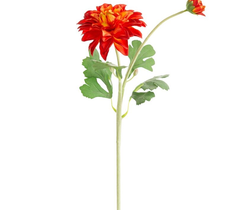 KWIAT NATU 488 O 11 X 55 CM CZERWONY