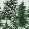 ŚWIĄTECZNY KOMPLET POŚCIELI NEVADA 220 X 200 CM BIAŁY