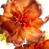 Kwiat dekoracyjny Flore 889 pomarańczowy O 15 X 67 CM – na jesienne aranżacje