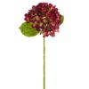KWIAT NATU 270 O 20 X 67 CM BORDOWY