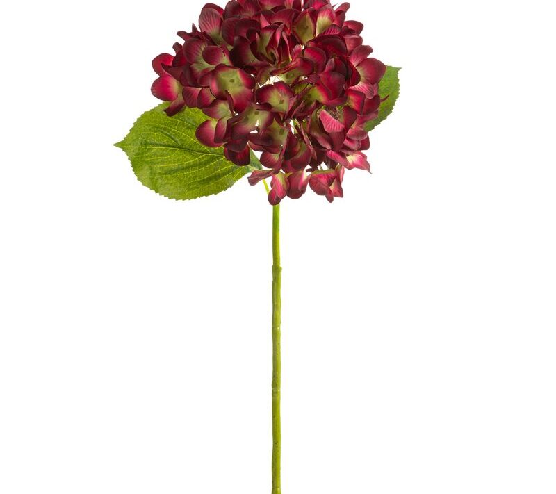 KWIAT NATU 270 O 20 X 67 CM BORDOWY