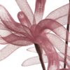 Kwiat organzy 7 bordowy O 25 x 95 cm – do wysokiego wazonu