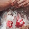 Obraz ręcznie malowany 742 kremowy 80 X 120 X 4 CM – do salonu i sypialni