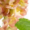KWIAT NATU 270 O 20 X 67 CM ŻÓŁTY