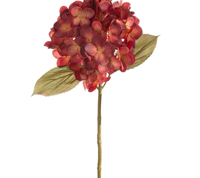 KWIAT NATU 502 O 20 X 68 CM BORDOWY